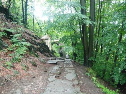 FOTKA - Krlovsk hrad Bezdz