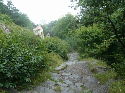 FOTKA - Krlovsk hrad Bezdz