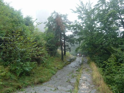 FOTKA - Krlovsk hrad Bezdz