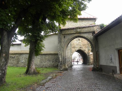 FOTKA - Bl pod Bezdzem trpla nedostatkem vody