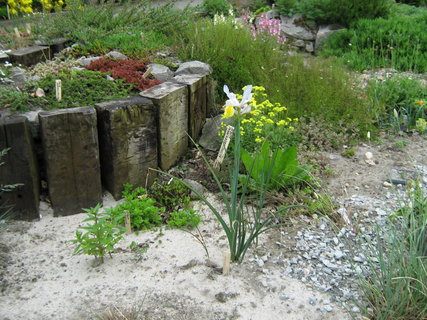 FOTKA - Botanick zahrada Libverda Dn