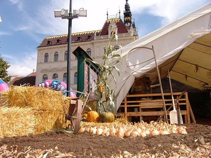 FOTKA - Tradin Cibulov slavnost a relaxace v termlnch lznch Laa ji kousek za hranicemi v regionu Weinviertel
