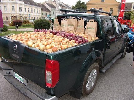 FOTKA - Tradin Cibulov slavnost a relaxace v termlnch lznch Laa ji kousek za hranicemi v regionu Weinviertel