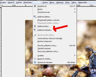 FOTKA - Zkladn pravy fotografi v programu Gimp