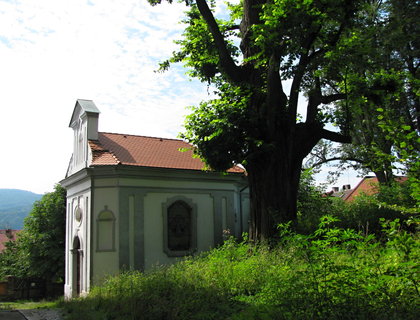 FOTKA - Beneov nad Plounic je obklopen ndhernou prodou