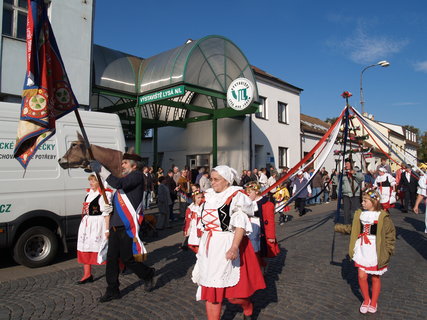 FOTKA - Vstava Zemdlec - N chov 2010 v Lys nad Labem