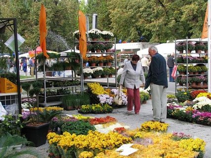 FOTKA - Podzimn Flora Olomouc 2010 - Han pivt nvtvnky na Selskm dvoe