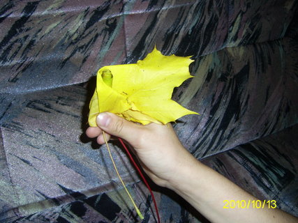 FOTKA - Vyrob si sama - nvod na riky z list
