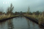 Cestomnie - Holandsko  Ve znamen vody