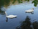 Rajeck Teplice -  slovensk lzesk msteko zasazen do malebn prody