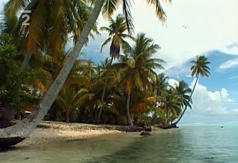 FOTKA - Cestomnie: Francouzsk Polynsie  Tahiti  Nebe na zemi