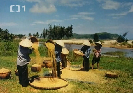 FOTKA - Cestomnie: Vietnam  Barvy trop