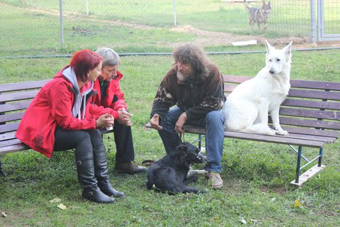 FOTKA - Koka nen pes - Vystresovan Sam a oddan Deka