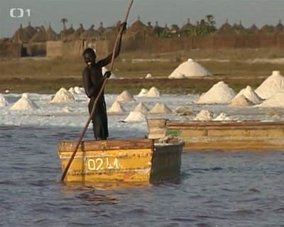 FOTKA - Cestomnie - Senegal  Ve stnu baobabu