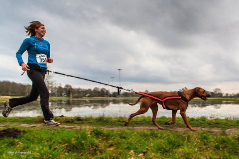 FOTKA - Pohyb, vyven jdelnek a zdrav ivotn styl prodlou vaemu psovi ivot i o nkolik let
