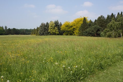 FOTKA - Dendrologick zahrada v Prhonicch