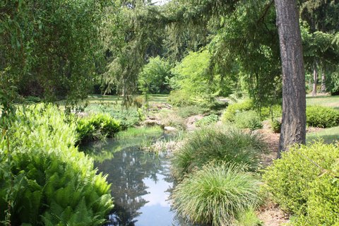 FOTKA - Dendrologick zahrada v Prhonicch