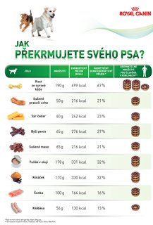 FOTKA - Nezkracujte ivot vaich domcch mazlk obezitou!