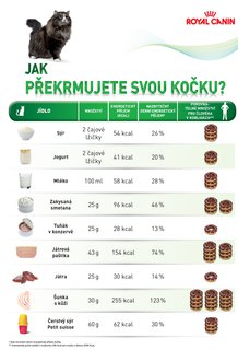 FOTKA - Nezkracujte ivot vaich domcch mazlk obezitou!