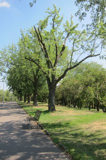 FOTKA - Vrch Vtkov a Nrodn pamtnk na Vtkov