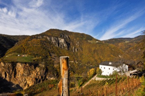 FOTKA - Trggelen - vydejte se do Jinho Tyrolska na velkolepou gastronomickou slavnost