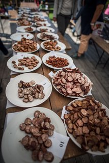 FOTKA - Soutte o nejlep frgl a klobsu na Karlovskm gastrofestivalu