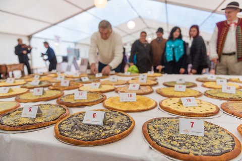 FOTKA - Tip pro gurmny: pojete o vkendu na Karlovsk gastrofestival