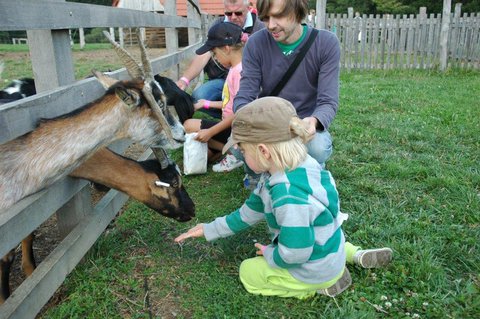 FOTKA - Uijte si podzim na Farm Blank!