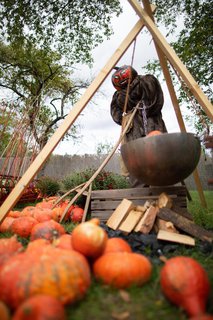 FOTKA - Vrcholem podzimnho programu trojsk botanick zahrady je vstava dn 