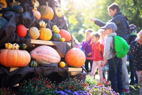 FOTKA - Vrcholem podzimnho programu trojsk botanick zahrady je vstava dn 