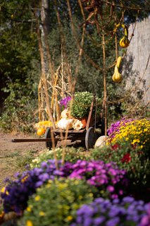 FOTKA - Vrcholem podzimnho programu trojsk botanick zahrady je vstava dn 
