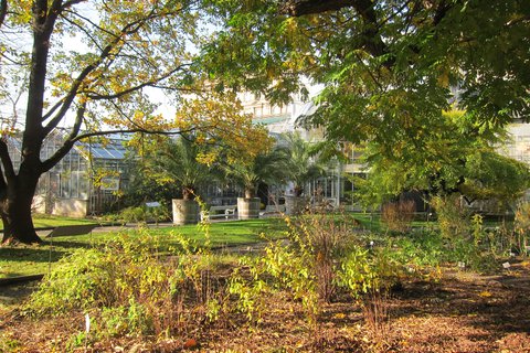 FOTKA - Botanick zahrada Prodovdeck fakulty Univerzity Karlovy