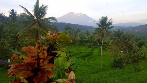 FOTKA - 3+1 tip na romantick msta na Bali