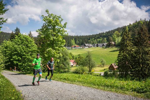 FOTKA - Naute se bhat sMiloem korpilem ve Velkch Karlovicch