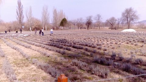 FOTKA - Mj nvrat do Hvzu a nvtva Balatonu, vlet, kter zahl u srdce