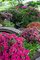 Botanick zahrada vs okouzl tropickmi motly a rozkvtajcmi rododendrony