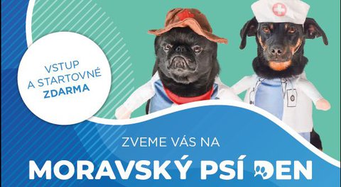 FOTKA - Moravsk ps den se bl!