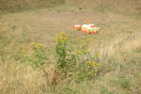 FOTKA - Mezinrodn krajinsk festival Landscape