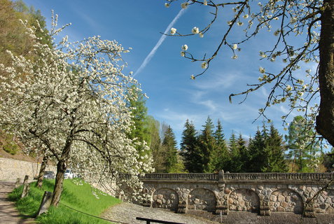 FOTKA - Les Krlovstv