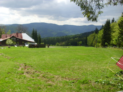 FOTKA - Polapen zlodj