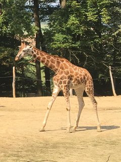 FOTKA - Za zvtky na kouzelnou Moravu aneb Zoo Len