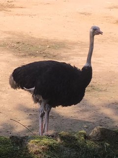 FOTKA - Za zvtky na kouzelnou Moravu aneb Zoo Len