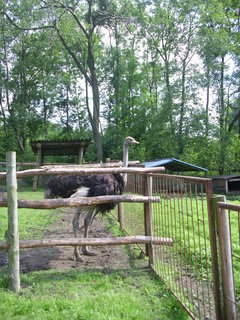 FOTKA - Za zvířátky na kouzelnou Moravu aneb Zoo Lešná
