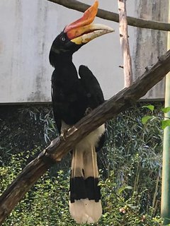 FOTKA - Za zvtky na kouzelnou Moravu aneb Zoo Len