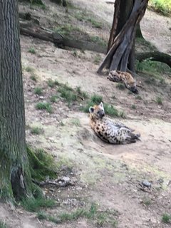 FOTKA - Za zvtky na kouzelnou Moravu aneb Zoo Len