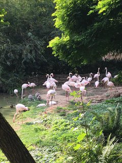 FOTKA - Za zvtky na kouzelnou Moravu aneb Zoo Len