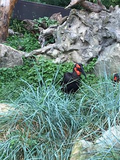 FOTKA - Za zvtky na kouzelnou Moravu aneb Zoo Len
