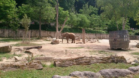 FOTKA - Za zvtky na kouzelnou Moravu aneb Zoo Len