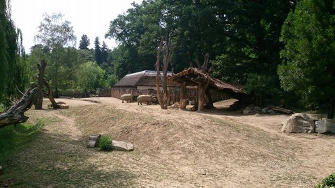 FOTKA - Za zvířátky na kouzelnou Moravu aneb Zoo Lešná