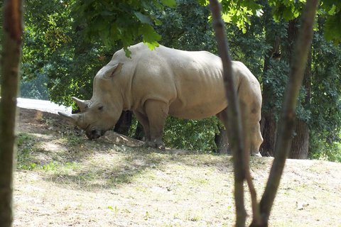 FOTKA - Za zvtky na kouzelnou Moravu aneb Zoo Len